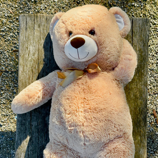 Giant 100cm Stuffed Teddy Bear Plush Soft Toy - Huggsie - Outdoor Shooting Image - Dreamzity