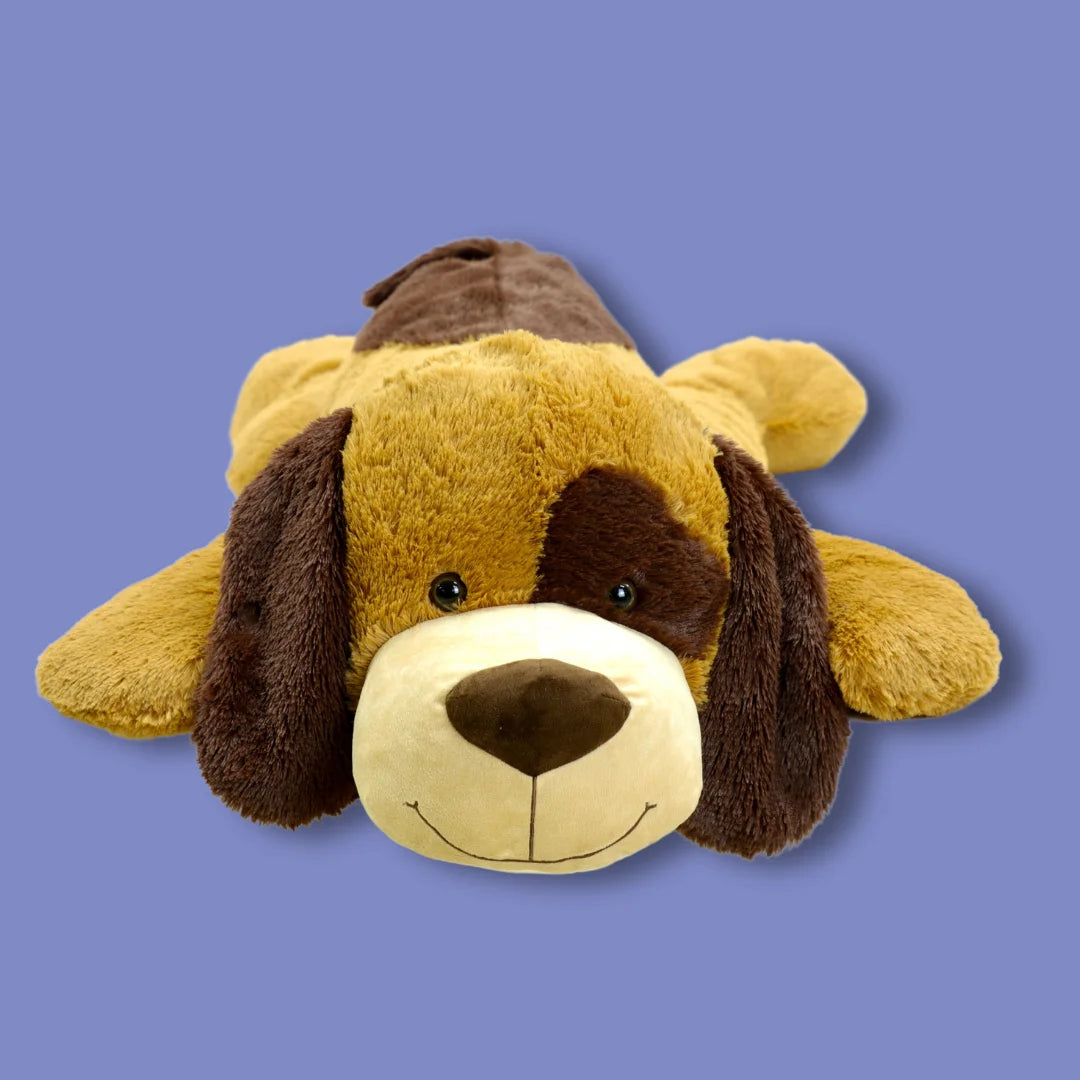 Floppy dog teddy best sale