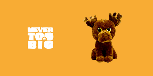 Meet Lottsie: The Forever Lucky Member of the Reindeer family of Never Too Big.