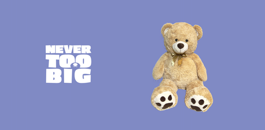 Meet Huggsie: The Most Affectionate Bear of Never Too Big