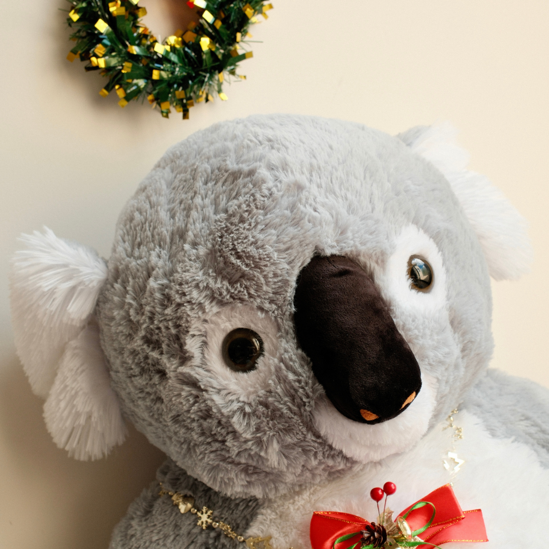 64cm Koala Plush Toy - Glassie