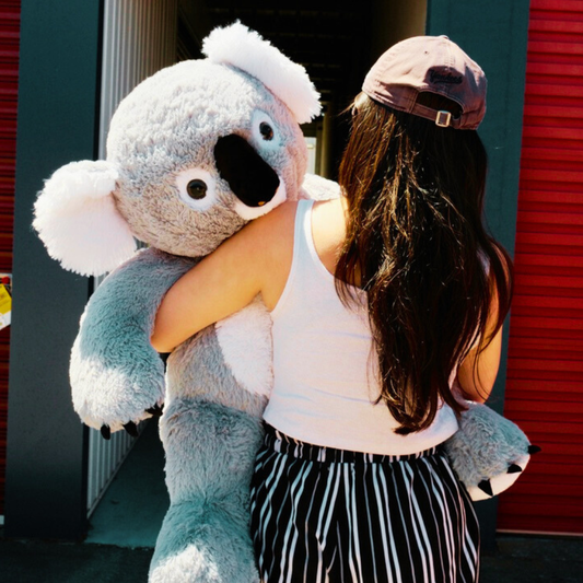 64cm Koala Plush Toy - Glassie