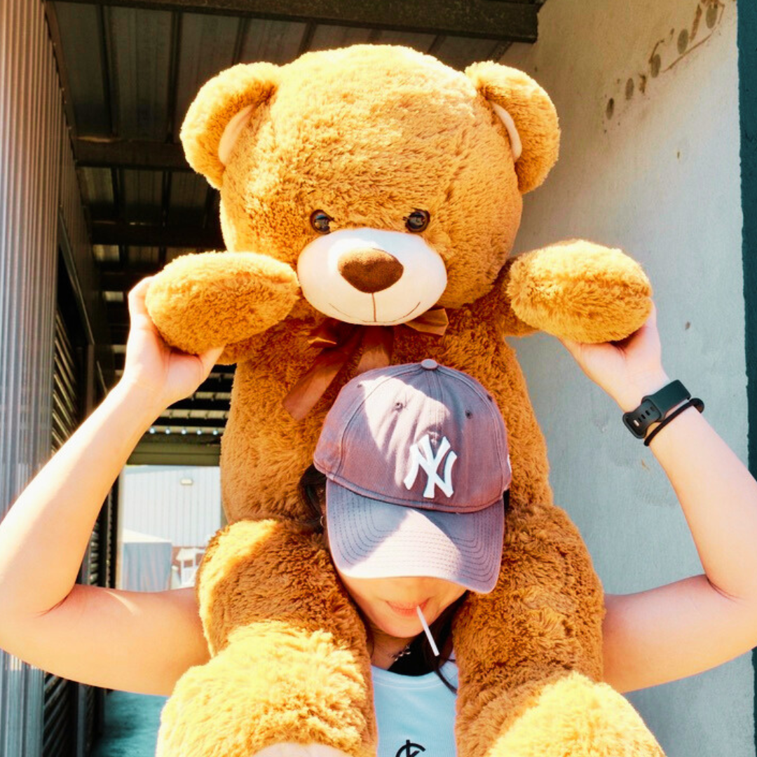 100cm Giant Teddy Bear Plush Toy - Hochi the Squishy