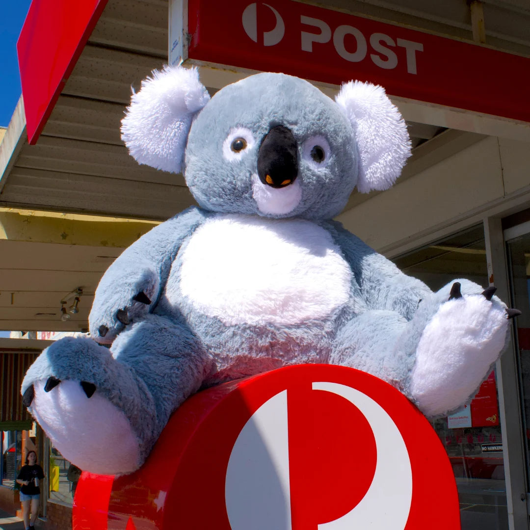 Giant 64cm Stuffed Koala Plush Soft Toy - Glassie - Outdoor Shooting Image - Dreamzity