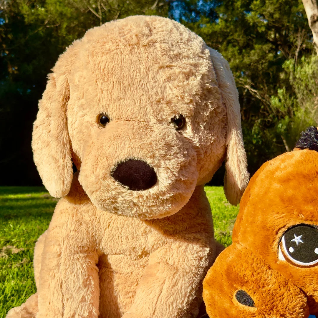 Giant 80cm Stuffed Dog Plush Soft Toy - Goodaboi - Outdoor Shooting Image - Dreamzity